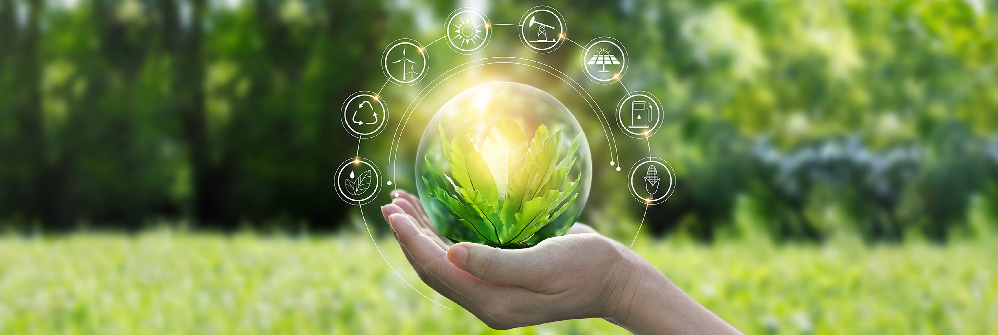 environmental stewardship stock image
